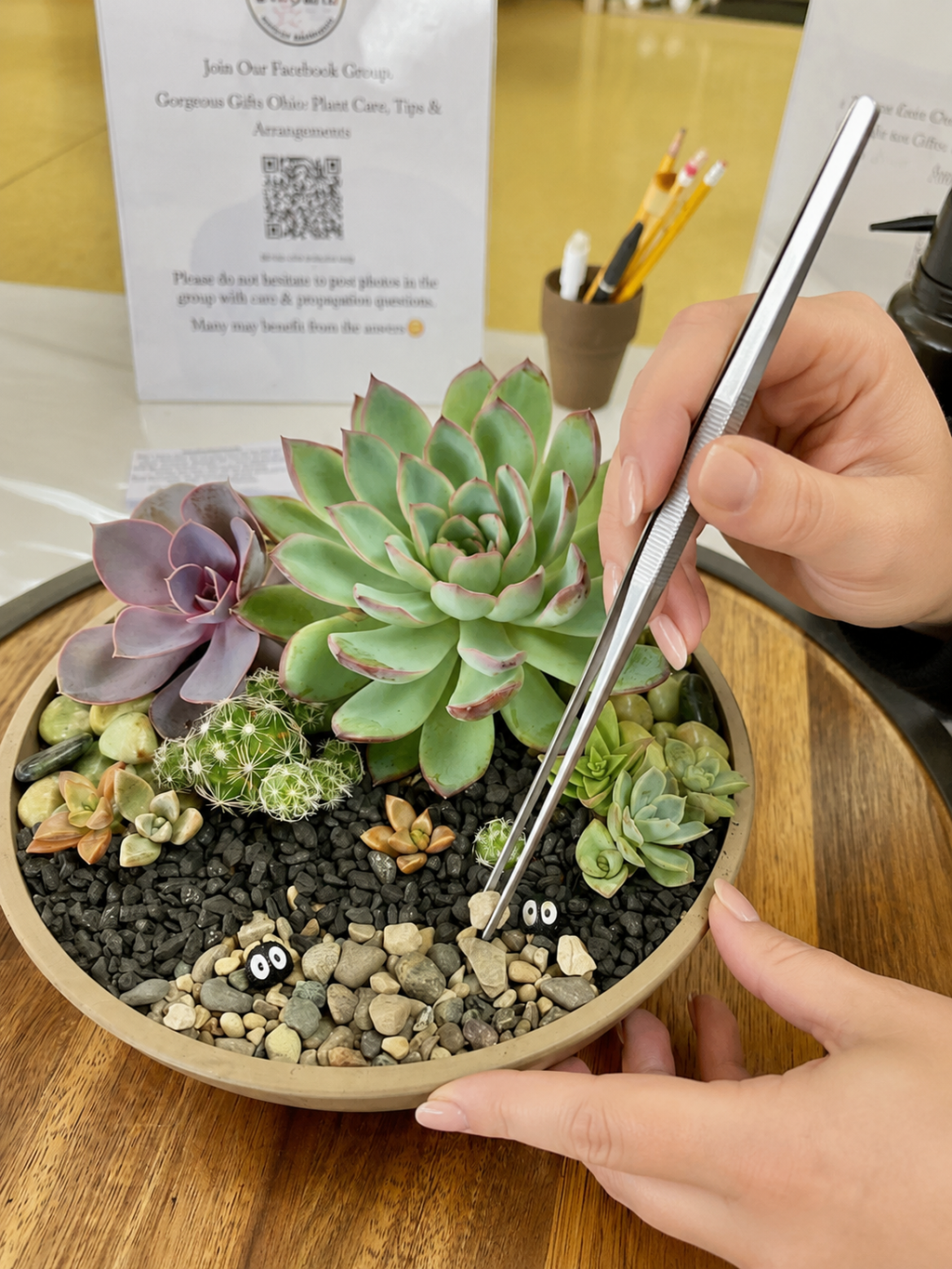 11.8" Terrarium Tweezers – Planting & Succulent Maintenance Tool