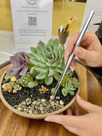11.8" Terrarium Tweezers – Planting & Succulent Maintenance Tool