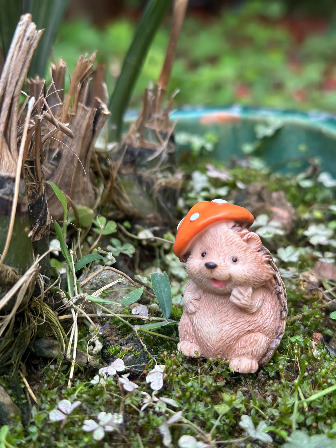Hedgehog Fairy Garden Figurines – Reading, Welcome, Mushroom Hat