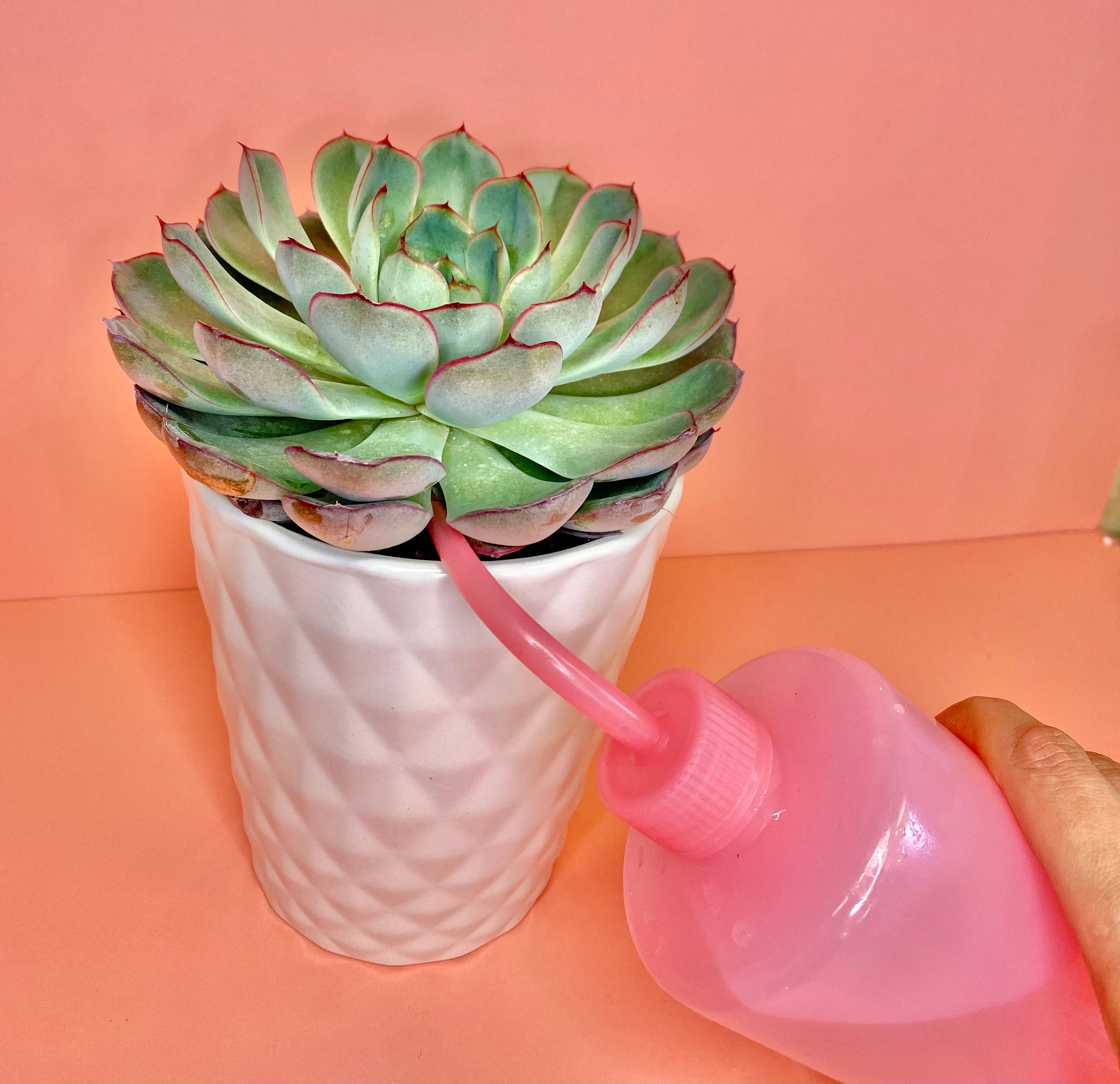 Various Colors Direct Squeeze Plant Water Bottles – 8oz / 16oz