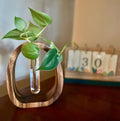Minimalist Plant Propagation Vase with easy fill bottle – Walnut Wood