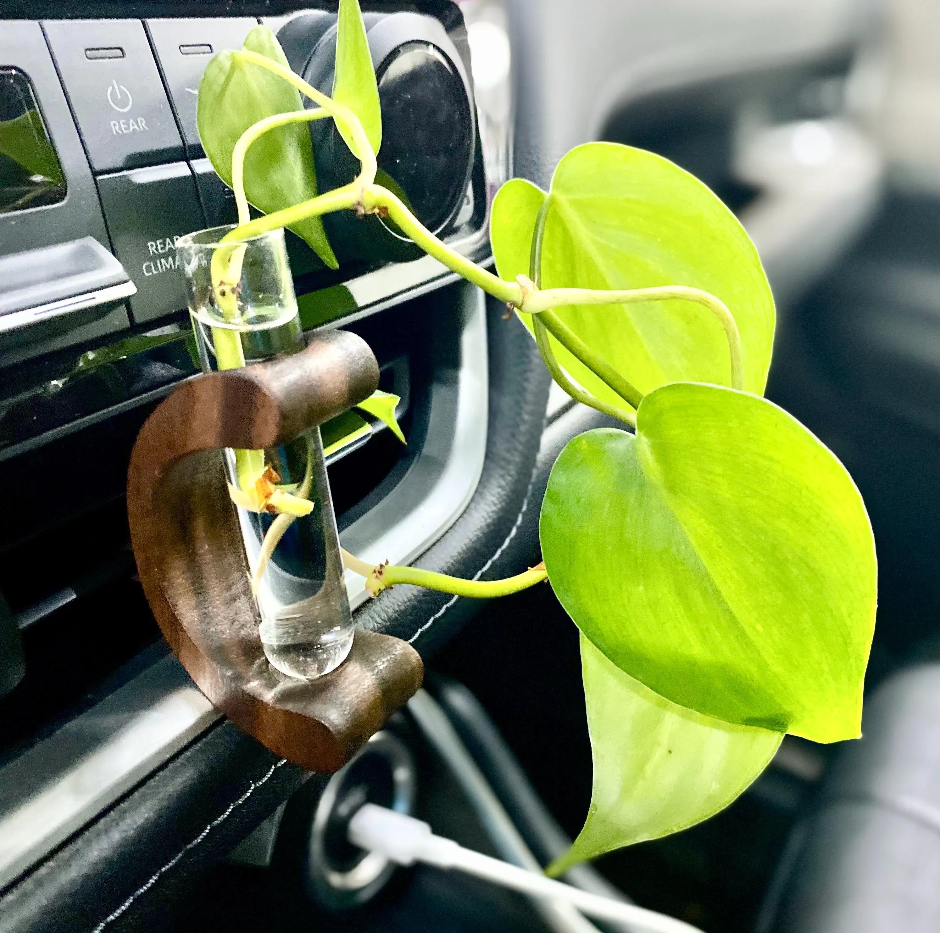 Mini Car Vent Propagation Vase with fill bottle – walnut Wood & Glass Tube