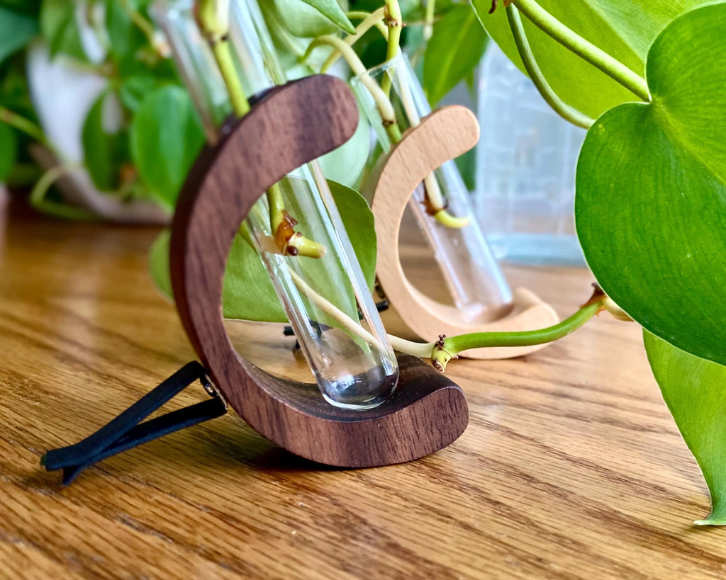 Mini Car Vent Propagation Vase with fill bottle – walnut Wood & Glass Tube