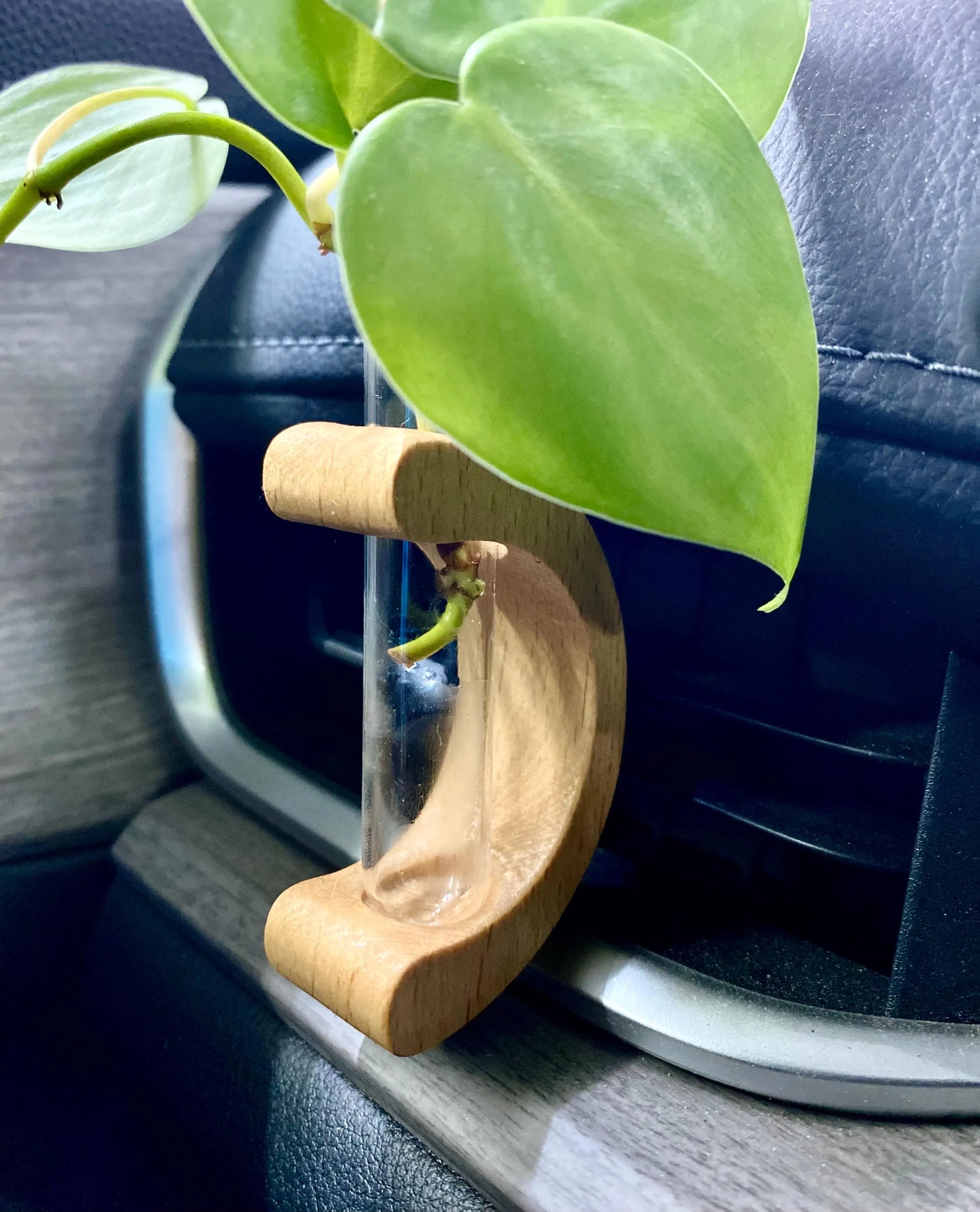 Car Vent Propagation Vase with fill bottle – Beech Wood & Glass Tube