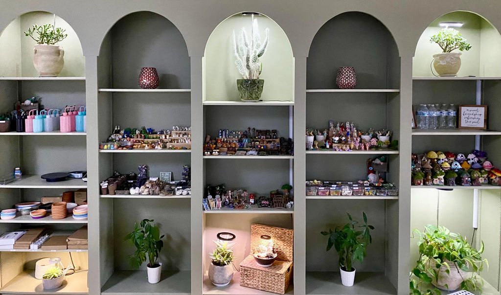Shelves with various decorative items and plants under grow lights against a gray wall.