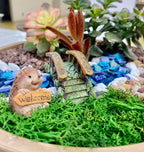 Hedgehog Fairy Garden Figurines – Reading, Welcome, Mushroom Hat
