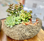 Rock pot 3/4 full of plants with a small cement building