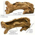 Wooden log with measurements on a white background. Length is 14" height is 5" plantable area is 10x2.5x2.5" ideal for succulents with shallow root systems