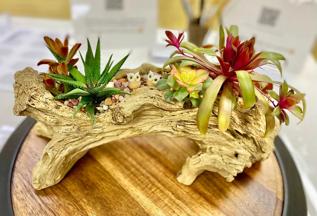 Colorful handcrafted succulent arrangement featuring haworthia zebra plant, echeveria rosette, and vibrant red-green succulents displayed in a rustic driftwood-style planter with miniature owl figurines—eye-catching indoor plant decor, artisan succulent centerpiece for home or office