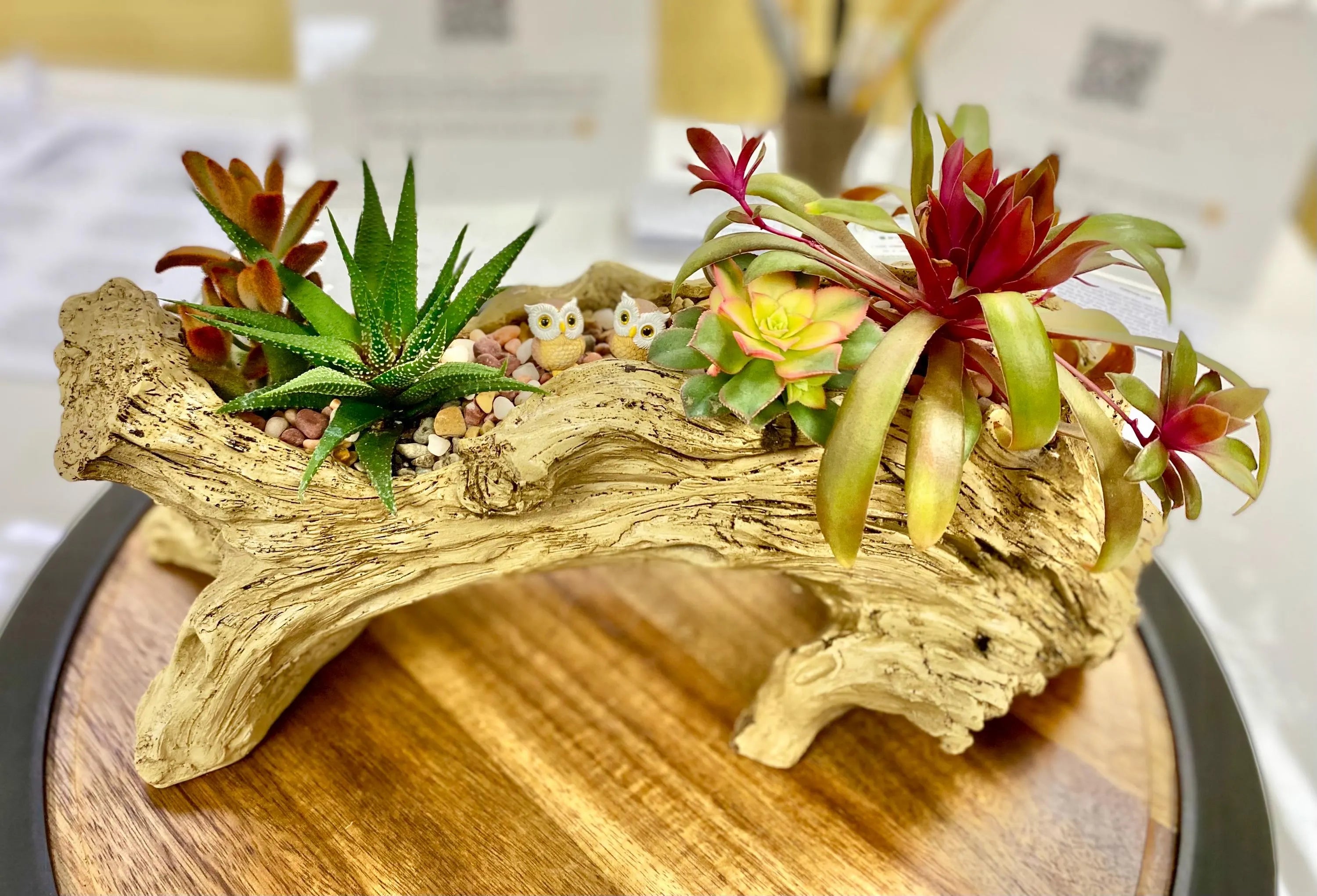 Colorful handcrafted succulent arrangement featuring haworthia zebra plant, echeveria rosette, and vibrant red-green succulents displayed in a rustic driftwood-style planter with miniature owl figurines—eye-catching indoor plant decor, artisan succulent centerpiece for home or office