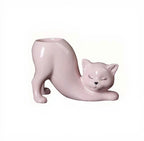 DIY Succulent Kit - Cat Tail Planter with Drainage Hole – Stretching Kitty Ceramic Succulent Pot