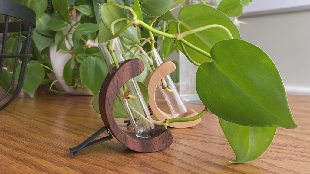 Car Vent Propagation Vase with fill bottle – Beech Wood & Glass Tube