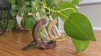 Car Vent Propagation Vase with fill bottle – Beech Wood & Glass Tube