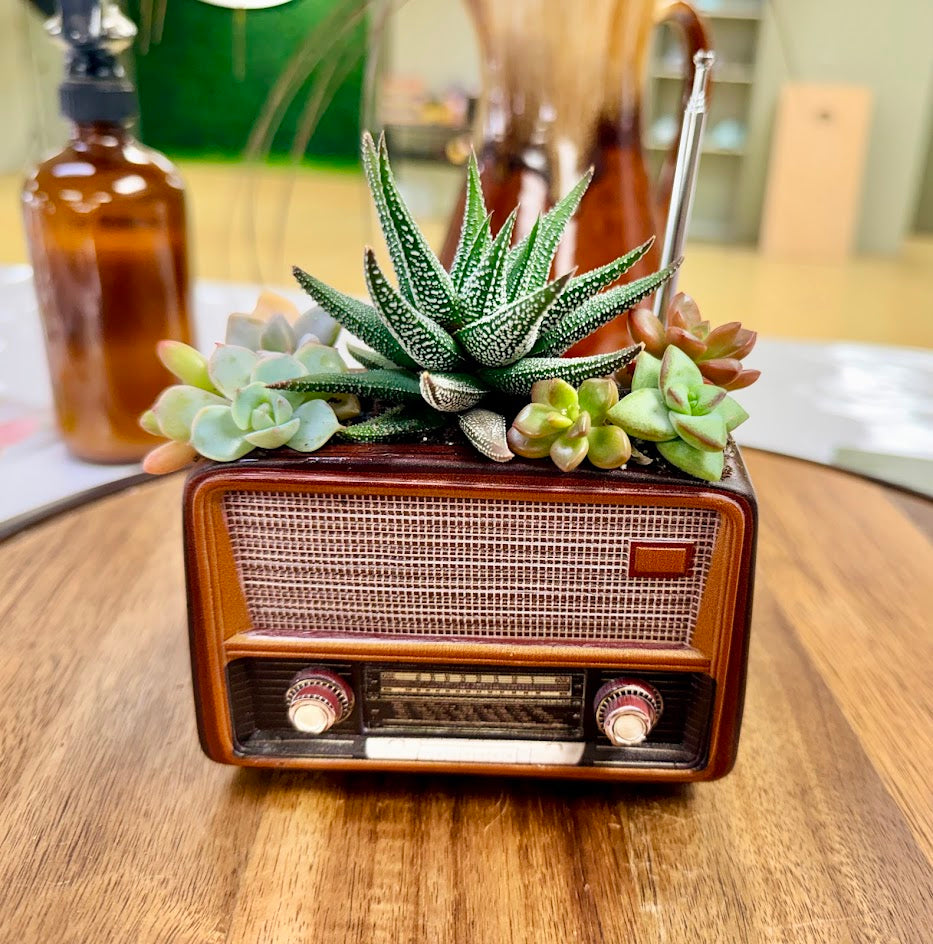 Retro Radio Planter - Mid-Century Modern Desk Decor - Unique Vintage Style Gift