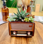 Retro Radio Planter - Mid-Century Modern Desk Decor - Unique Vintage Style Gift
