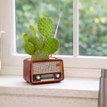 Small potted cactus in a vintage-style radio on a windowsill