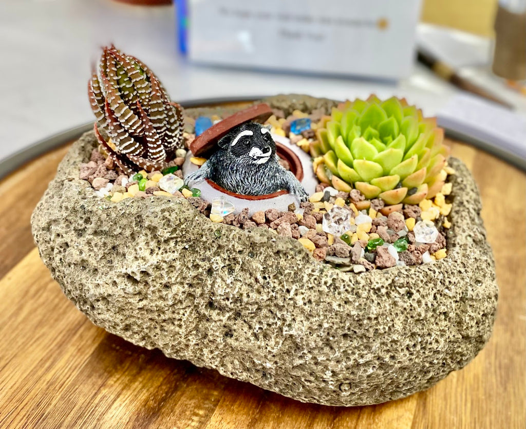 Whimsical raccoon figurine emerging from manhole cover embedded in a natural lava rock succulent planter with colorful decorative pebbles and assorted succulents – unique fun decorative plant gift for animal lovers