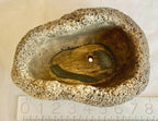 DIY Kit Cement Rock Planter for Succulents – shallow pot with Drainage