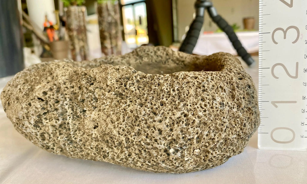 DIY Kit Cement Rock Planter for Succulents – shallow pot with Drainage