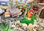 Hedgehog Fairy Garden Figurines – Reading, Welcome, Mushroom Hat