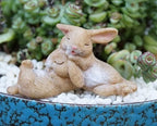 Sleeping Rabbits Fairy Garden Figurine – Mini Bunny Plant Decor – Woodland Planter Decoration – Miniature Garden Accessory – Plant Lover Gift