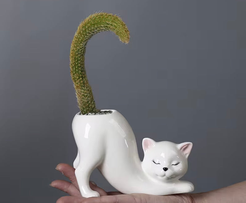 DIY Succulent Kit - Cat Tail Planter with Drainage Hole – Stretching Kitty Ceramic Succulent Pot
